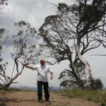 yrtleford - Avventura con il 4x4 sul mt. buffalo national park.